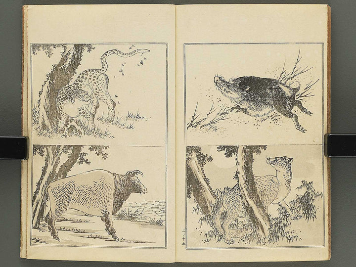 Kansai gafu Volume 2 by Ichikawa Kansai / BJ345-100