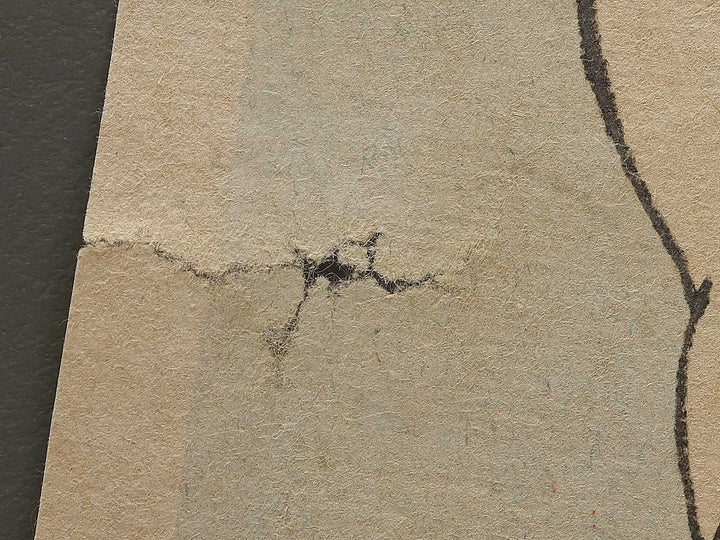 Tsugaru Chitosegawa Seikichi by Hachisuka Kuniaki / BJ337-582