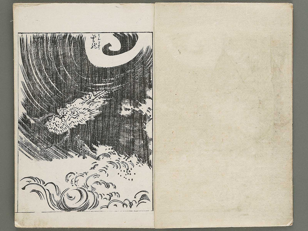 Gazu hyakuchin  / BJ334-600