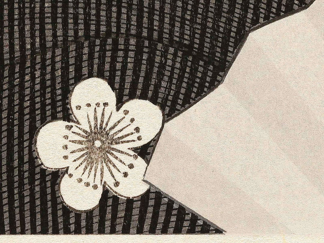 Tomimoto Toyohina from the series Komei bijin rokkasen by Kitagawa Utamaro, (Large print size) / BJ320-810