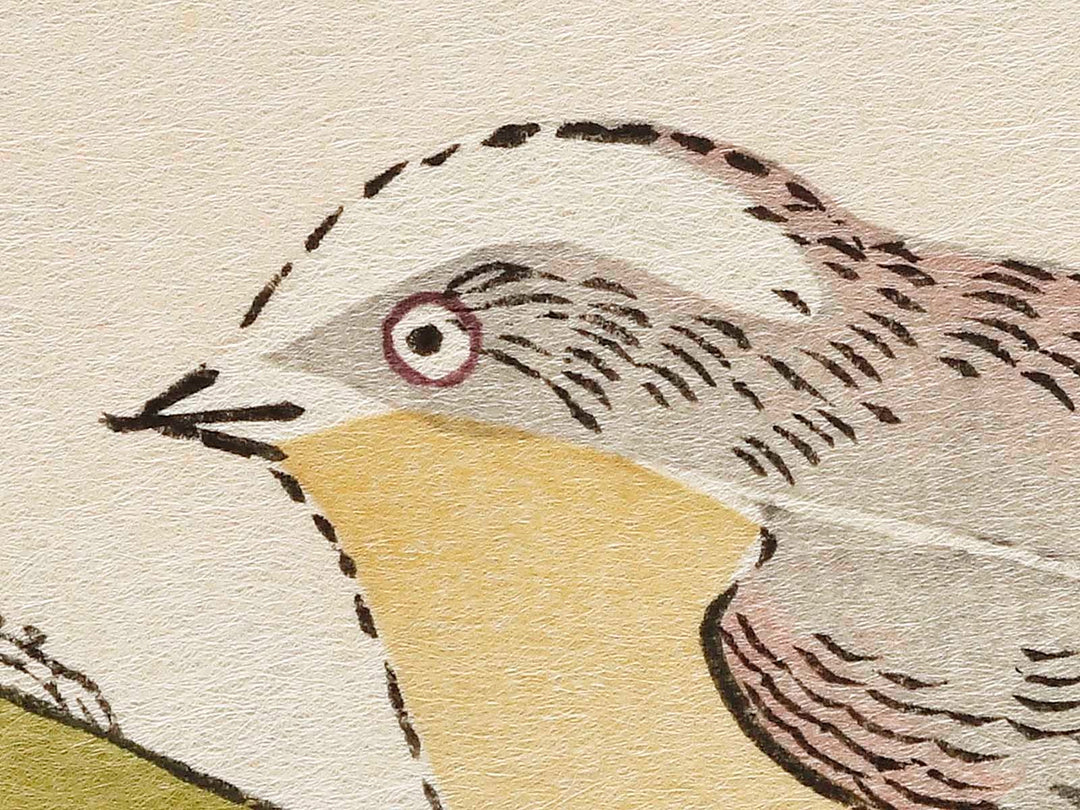 Long tailed Tit and White-eyes from the series Momochidori kyokaawase by Kitagawa Utamaro, (Large print size) / BJ328-006