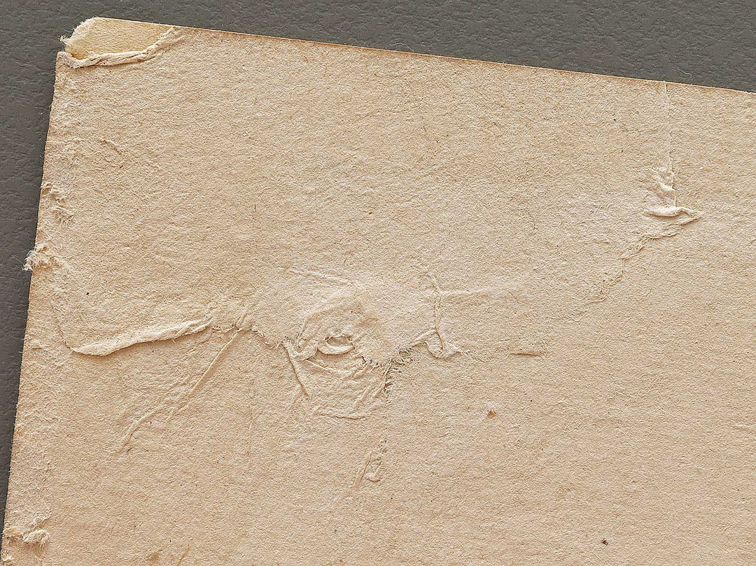 Kumasaka from the series Nogaku zue by Tsukioka Kogyo / BJ331-569