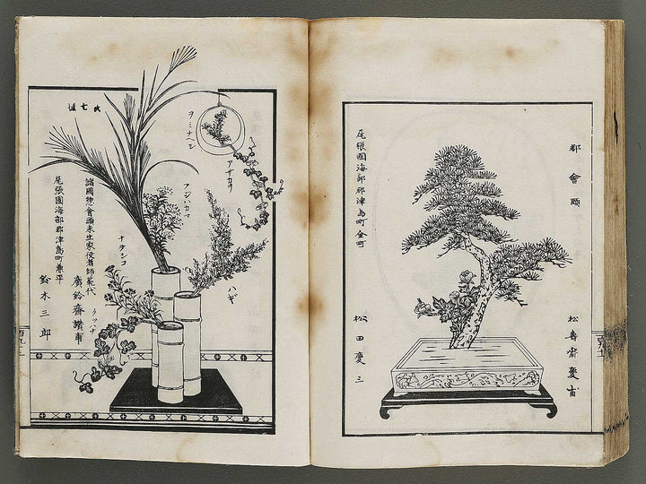 Kinen soka sanko no kaori (Ge) by Sawamura Riho / BJ324-688