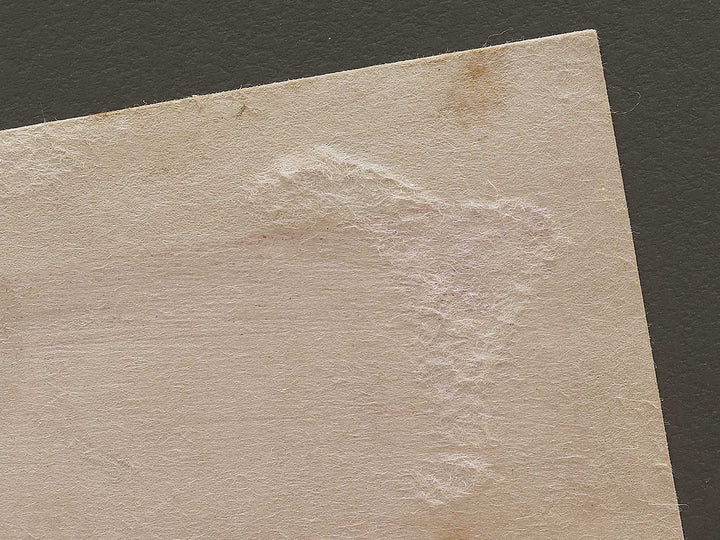 Autumn celebration from the series The Tale of Genji by Ebina Masao, (Medium print size) / BJ329-028