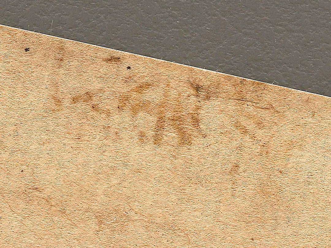 Botan from the series Hana zukushi by Utagawa Yoshimasu / BJ323-092