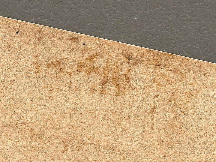 Botan from the series Hana zukushi by Utagawa Yoshimasu / BJ323-092