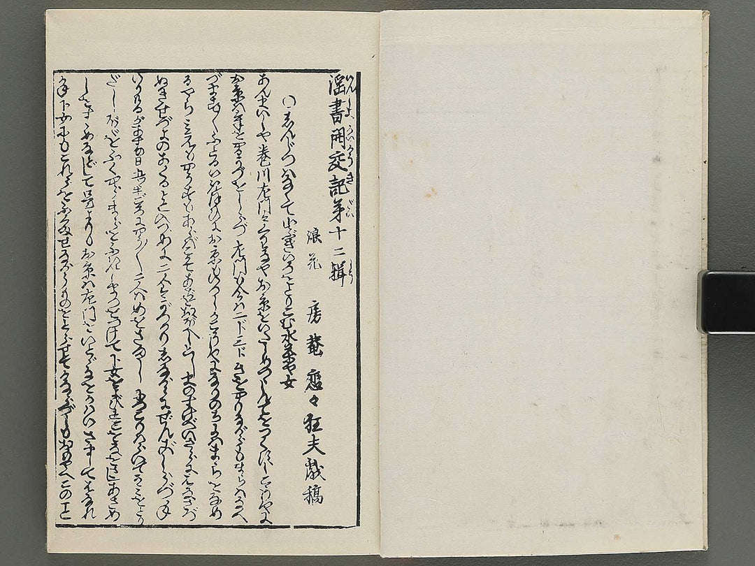 Insho kaiko ki Volume 12 by Utagawa Yoshikazu / BJ345-800