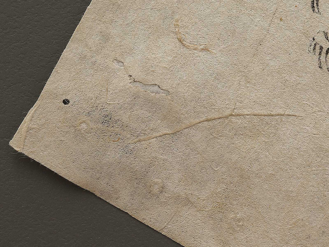 Chinzei hachiro onso Minamoto no Tametomo by Utagawa Yoshitora / BJ322-686