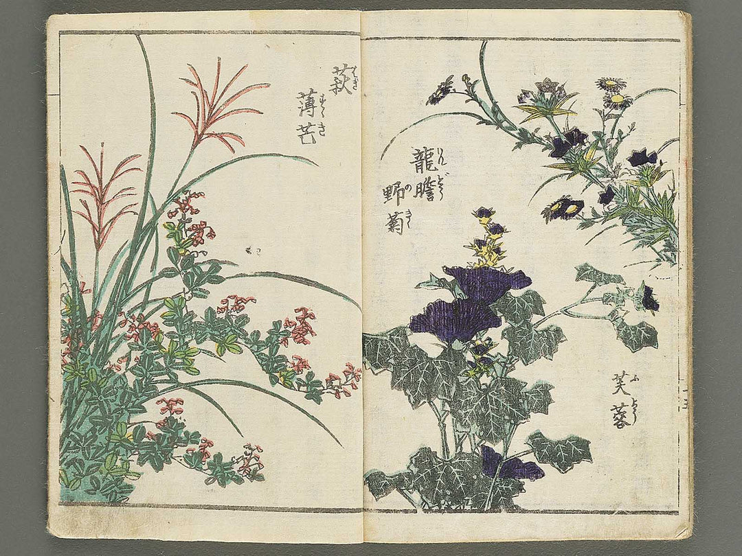 Soka e tehon by Keisai Eisen / BJ348-040