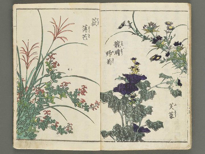 Soka e tehon by Keisai Eisen / BJ348-040