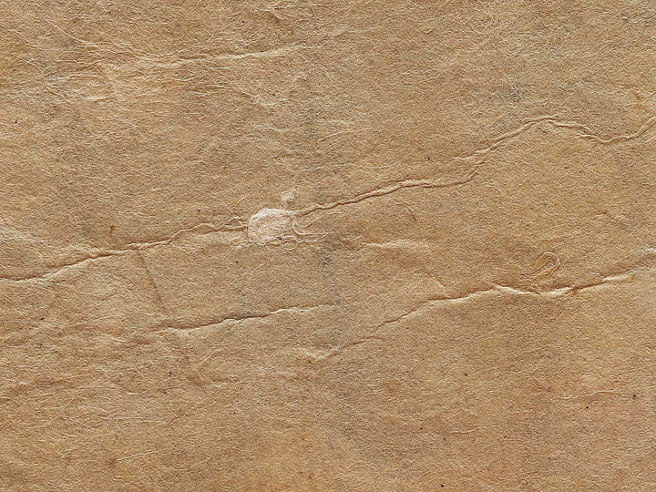 Tenmangu Sugawara no Michizane / BJ325-465