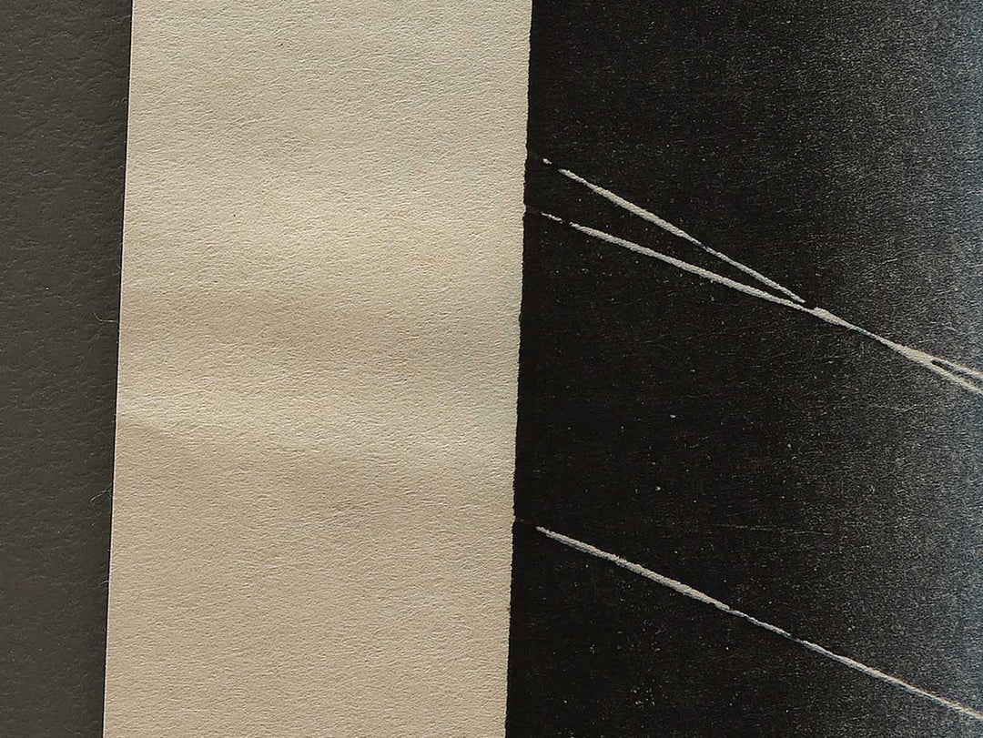 Komagata Hall and Azuma Bridge from the series One Hundred Famous Views of Edo by Utagawa Hiroshige, (Large print size) / BJ336-854