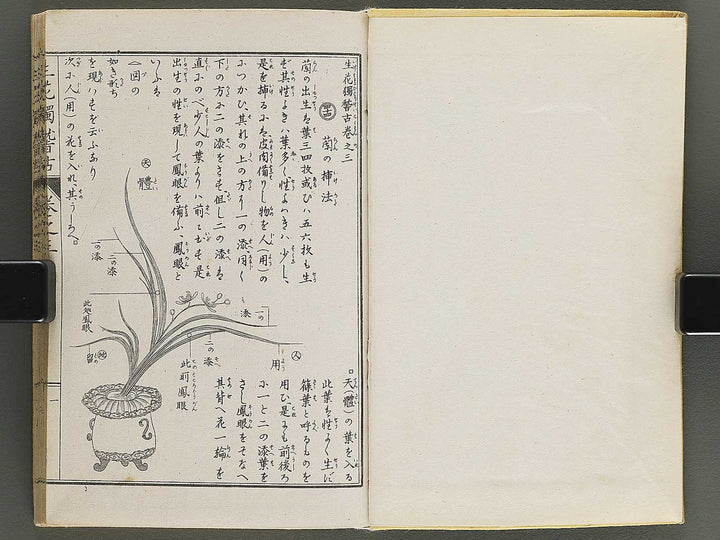 Shoryu hiden ikebana hitorigeiko Volume 3 / BJ347-942