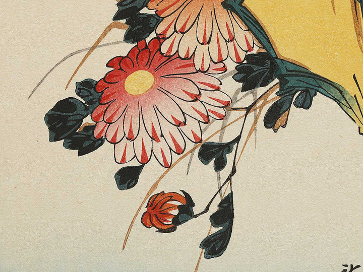 Chrysanthemum & pheasant by Utagawa Hiroshige, (Medium print size) / BJ328-111