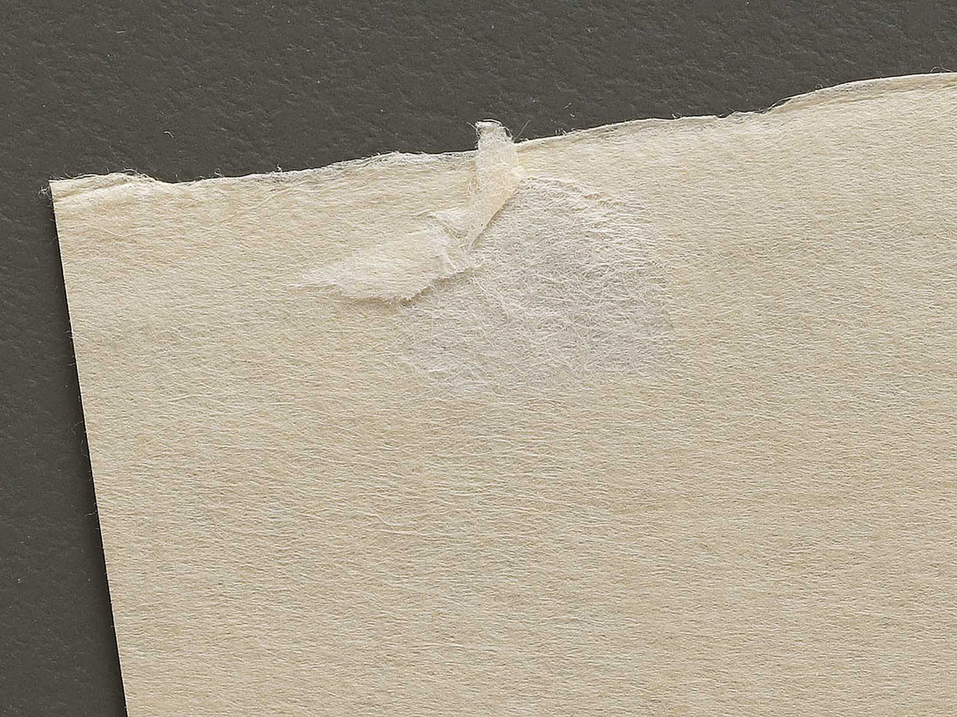 Ashikaga gyodo zan kumo no kakehashi from the series Shokoku meisho kiran by Katsushika Hokusai, (Large print size) / BJ320-565