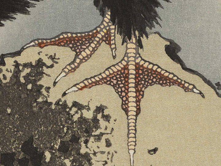 A cormorant stands resolute at the head of a rock by the sea by Katsushika Hokusai, (Medium print size) / BJ321-818