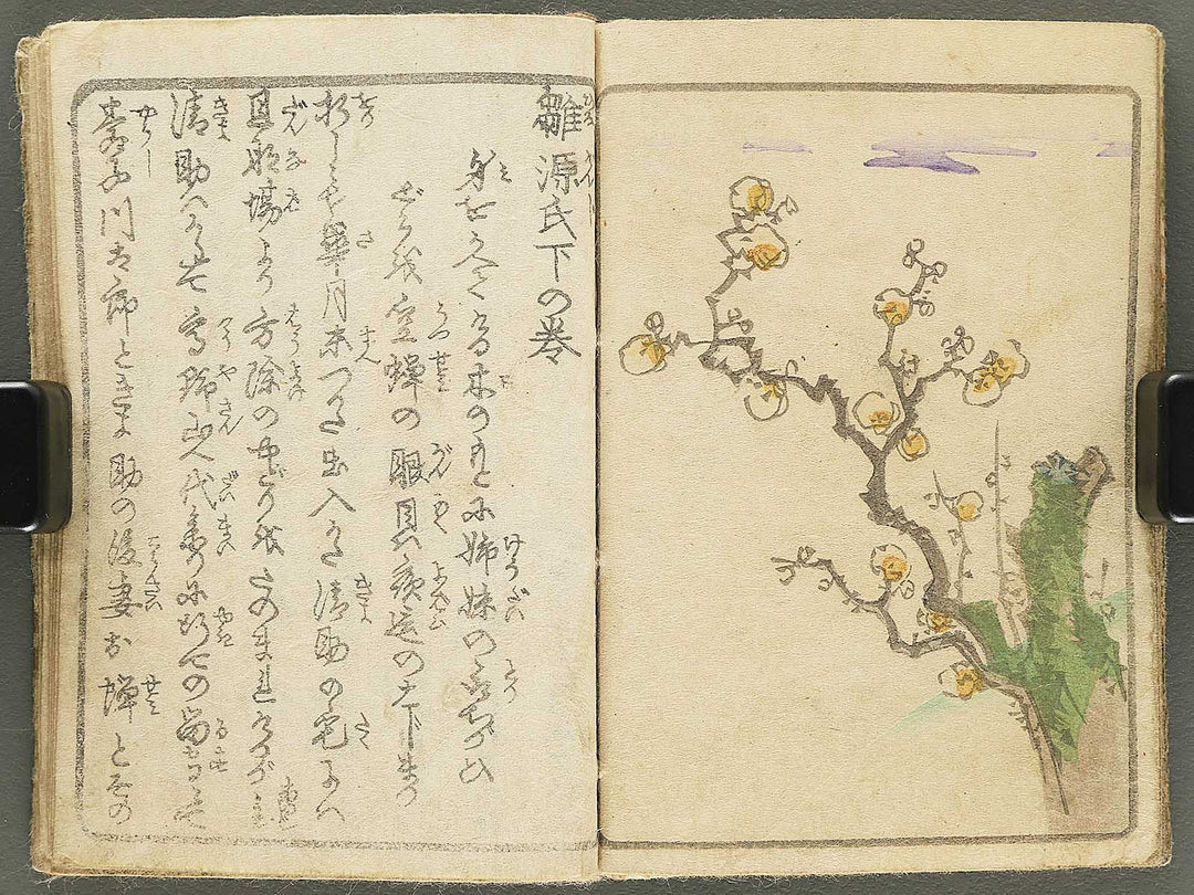 Hinagenji (Ge) / BJ355-152