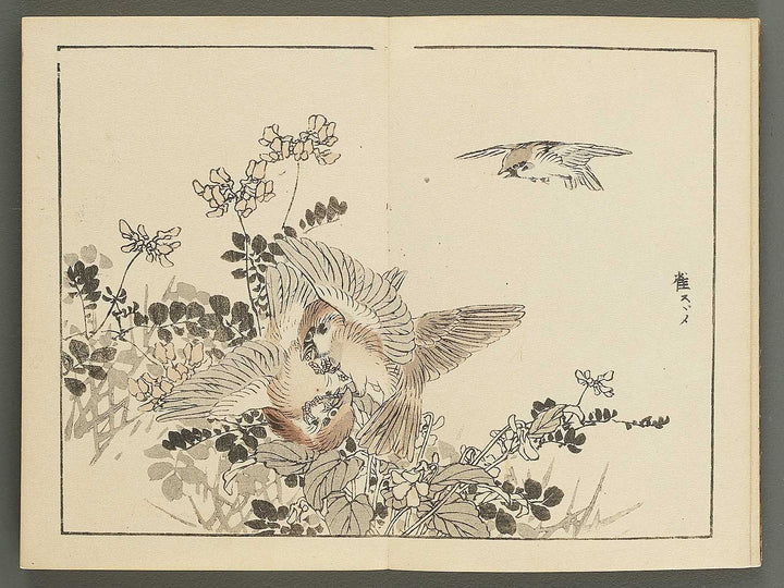 Bairei gafu (Kacho no bu) by Kono Bairei / BJ351-106