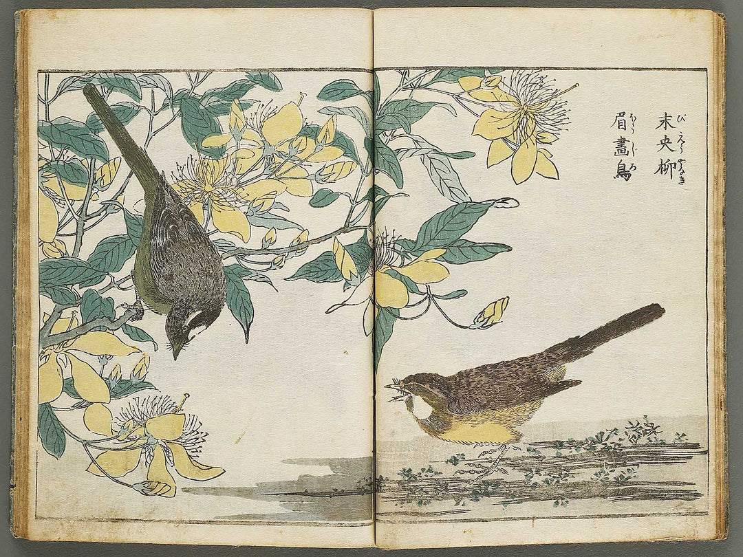 Kacho shashin zui by Kitao Shigemasa / BJ339-115