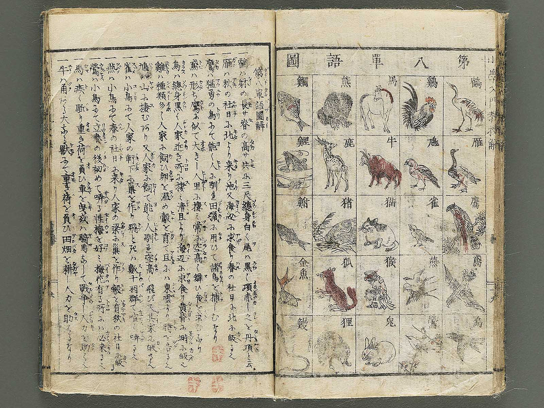 Syogaku nyumon kyoju kai by Matsukawa Hanzan / BJ344-743