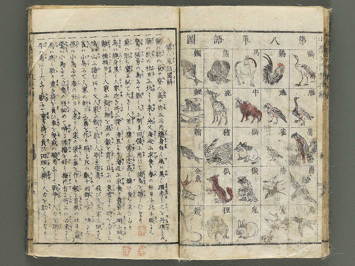 Syogaku nyumon kyoju kai by Matsukawa Hanzan / BJ344-743