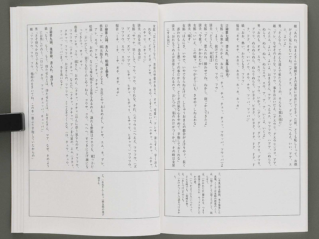 Ezoshi Tamakazura Volume 12 by Katsushika Hokusai / BJ346-486