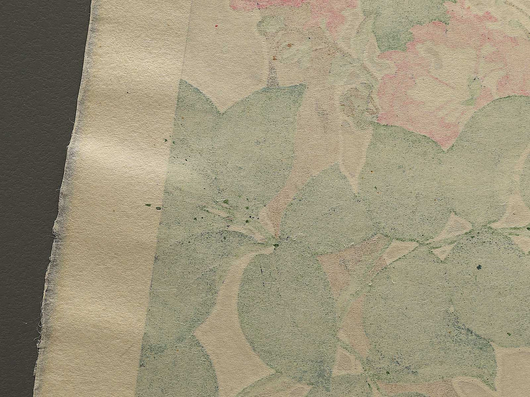 Sarusuberi by Kawarazaki Shodo, (Large print size) / BJ348-005