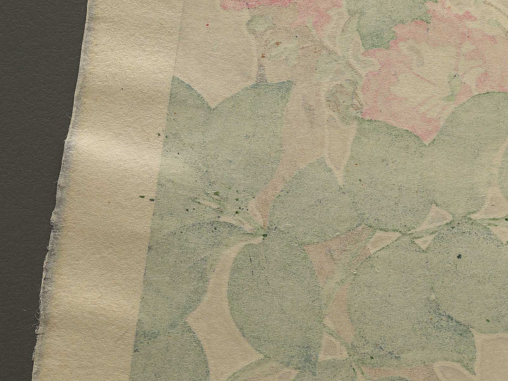 Sarusuberi by Kawarazaki Shodo, (Large print size) / BJ348-005