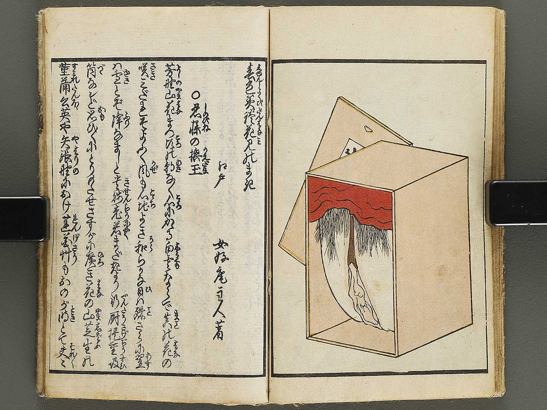 Shunjo yaezakura (Jo) by Utagawa-school / BJ328-916