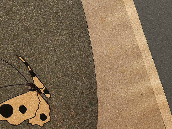 Kiku ni cho by Utagawa Hiroshige, (Large print size) / BJ323-281