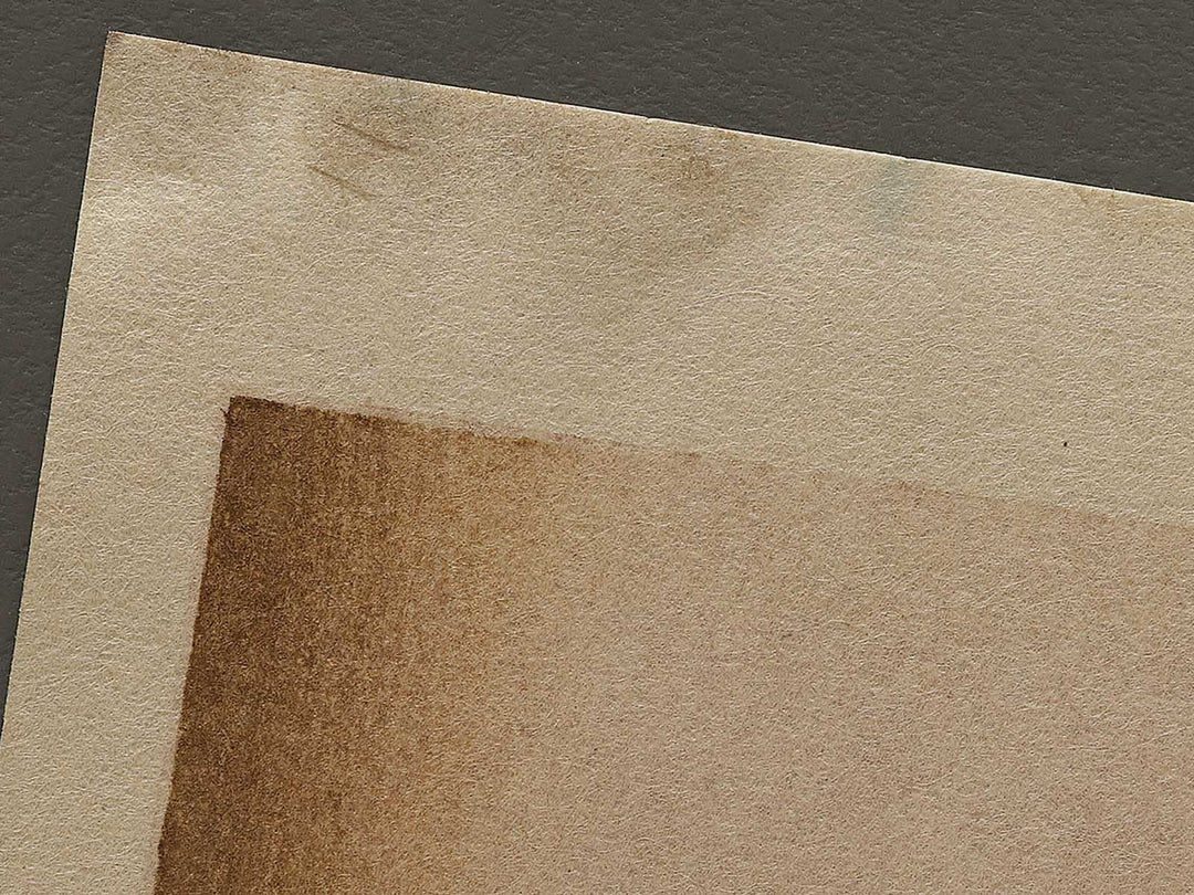 Japanese Carp from the series the series fish by Utagawa Hiroshige, (Large print size) / BJ323-407