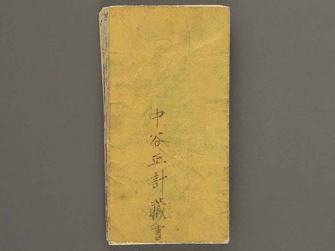 Dainihon hayami dochuki by Takeuchi Kiyohide / BJ352-569