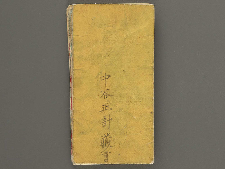 Dainihon hayami dochuki by Takeuchi Kiyohide / BJ352-569