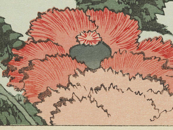 A poppy by Katsushika Hokusai, (Medium print size) / BJ327-334