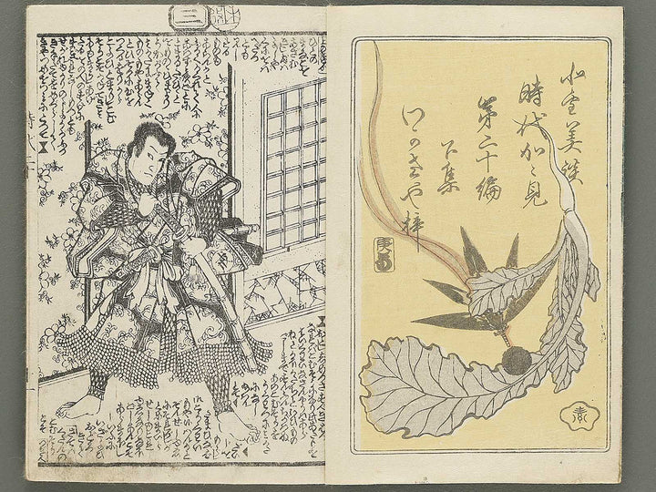 Hokusetsu bidan jidai kagami Volume 20, (Ge) by Utagawa Kunisada II / BJ349-860