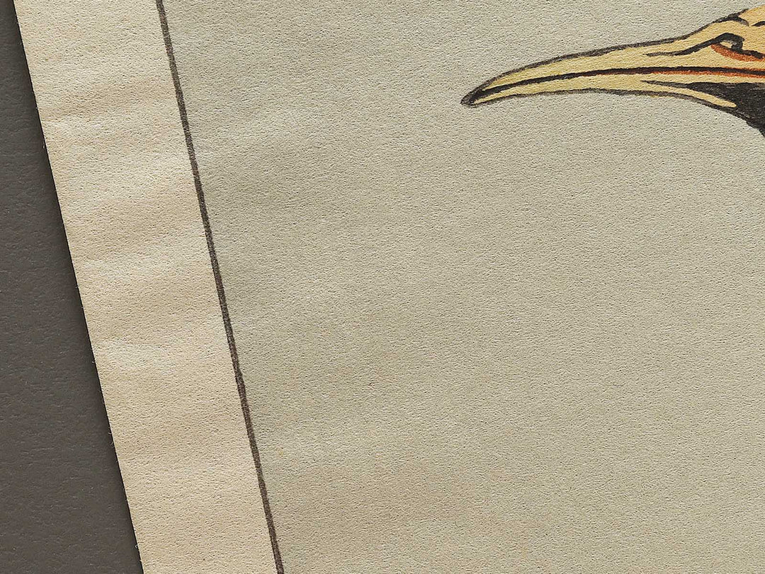 A cormorant stands resolute at the head of a rock by the sea by Katsushika Hokusai, (Medium print size) / BJ325-017