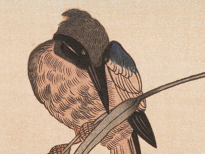Duck and Kingfisher from the series Momotidori kyoka awase by Kitagawa Utamaro, (Large print size) / BJ331-667