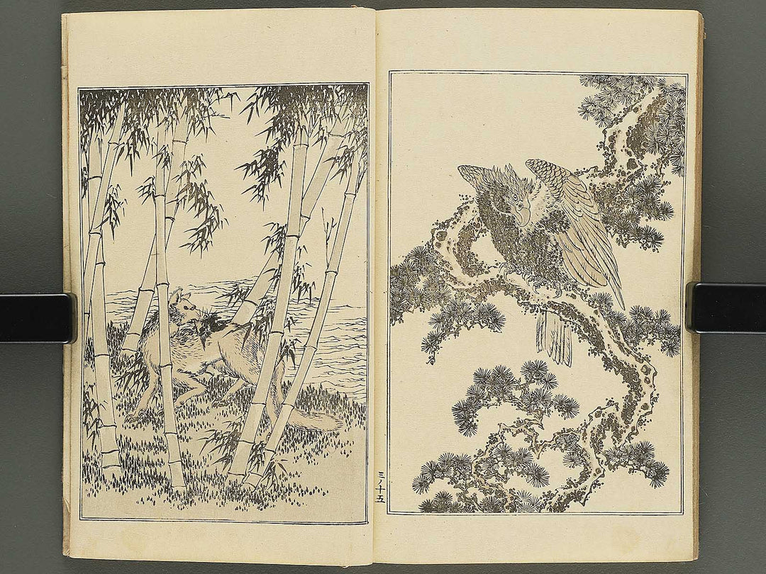 Kansai gafu Volume 3 by Ichikawa Kansai / BJ345-093