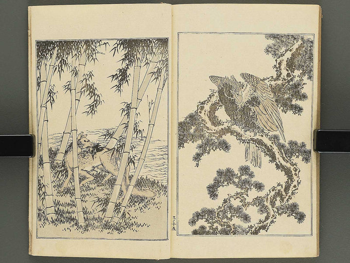 Kansai gafu Volume 3 by Ichikawa Kansai / BJ345-093