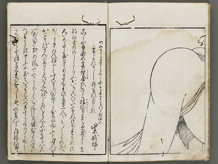 Ehon kiku no tsuyu by Kitagawa Utamaro / BJ337-862