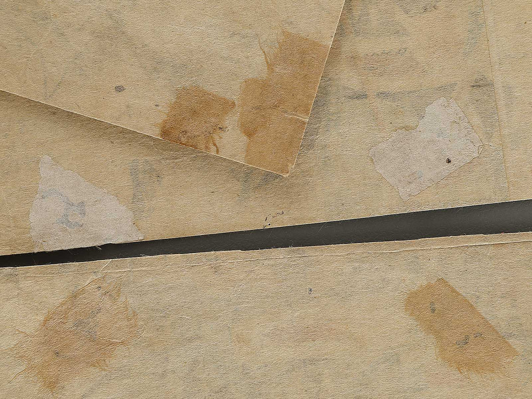 Chushingura youchi no zu by Utagawa Shigenobu (Hiroshige II) / BJ339-570