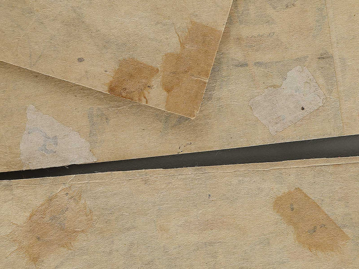 Chushingura youchi no zu by Utagawa Shigenobu (Hiroshige II) / BJ339-570