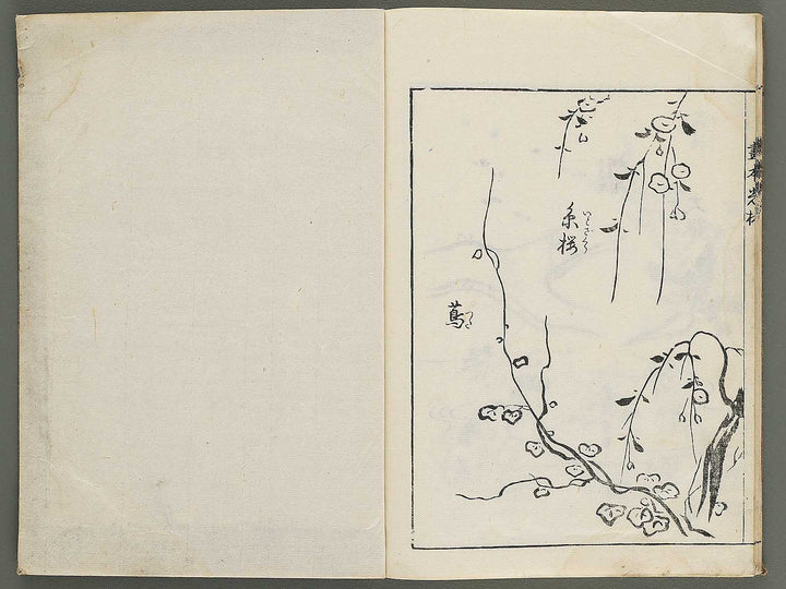 Korin michishirube by Nonomura Chubee / BJ351-134