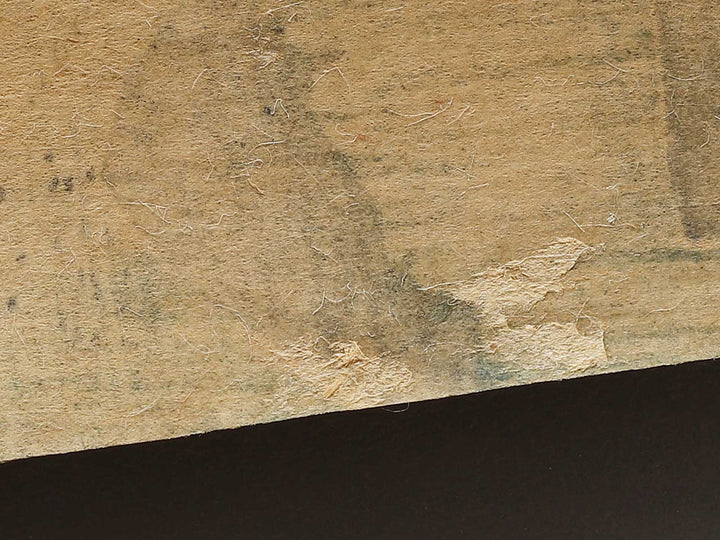 Kakegawa from the series Tokaido by Utagawa Hiroshige   / BJ334-495