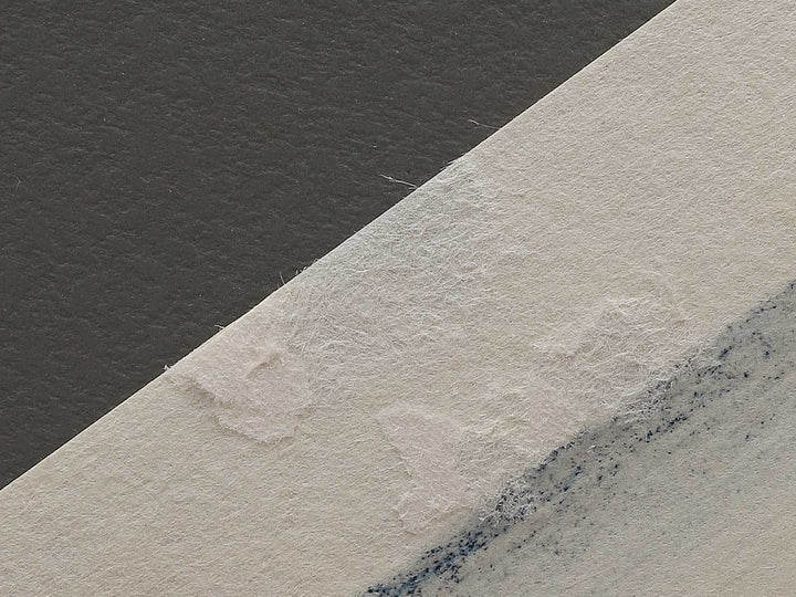 Honganji Temple at Asakusa in Edo from the series Thirty-six Views of Mount Fuji by Katsushika Hokusai, (Medium print size) / BJ302-162