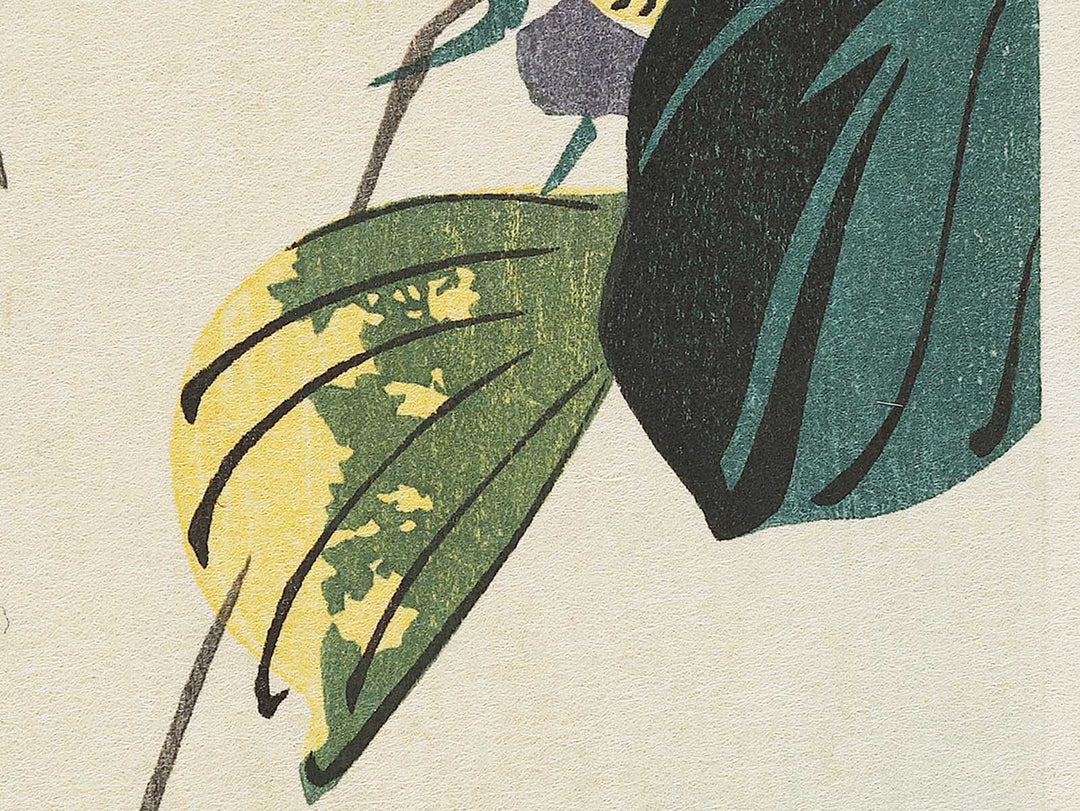 Mandarin duck  by Utagawa Hiroshige, (Medium print size) / BJ328-076