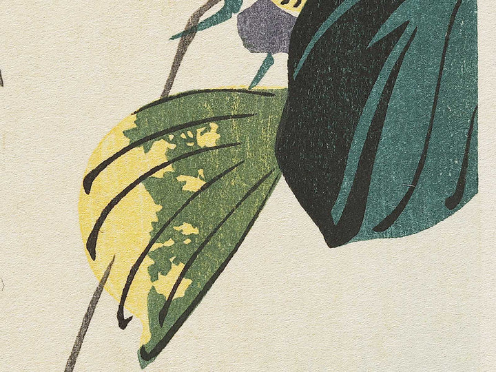 Mandarin duck  by Utagawa Hiroshige, (Medium print size) / BJ328-076