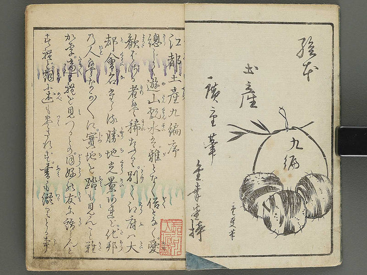Ehon edo miyage Volume 9 by Utagawa Hiroshige / BJ343-882