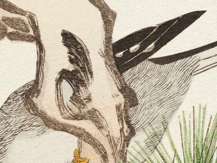 Japanese Grosbeak and Woodpecker from the series Momochidori kyokaawase by Kitagawa Utamaro, (Large print size) / BJ328-027