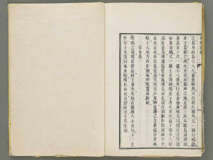 Hakubutsu Shinpen Volume 3 / BJ330-869